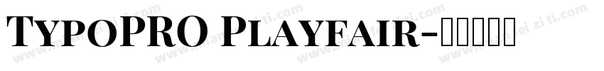 TypoPRO Playfair字体转换